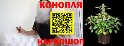 крисы Можайск
